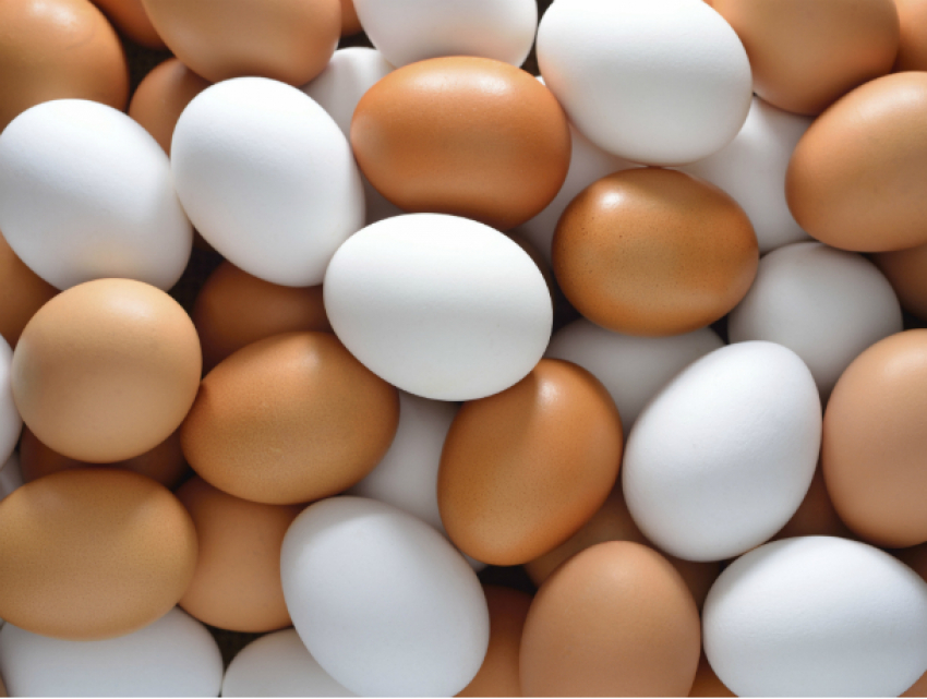 В детском саду под Новочеркасском обнаружили сомнительные яйца