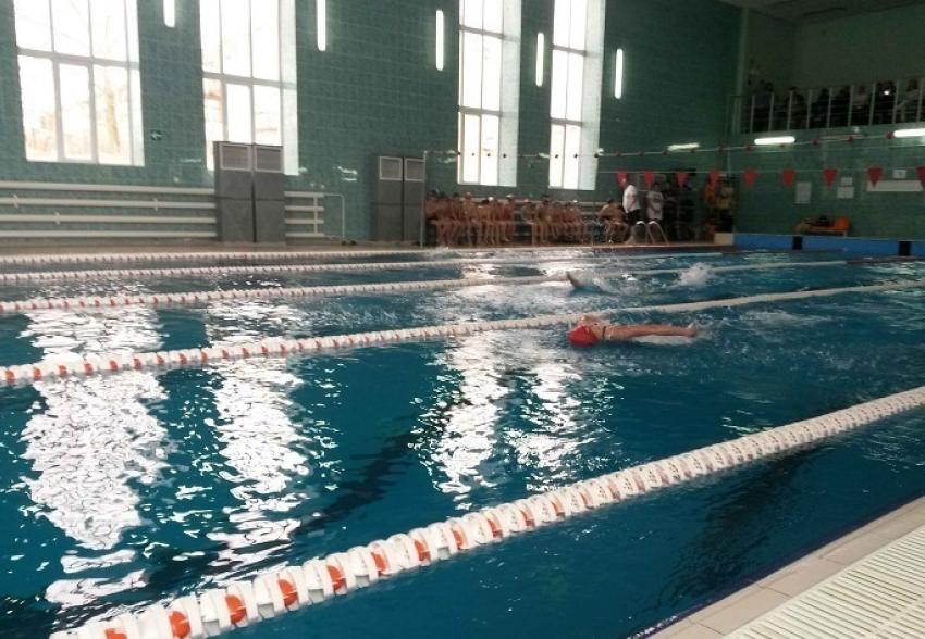ГТО по плаванию в Новочеркасске начнут внедрять со школьников