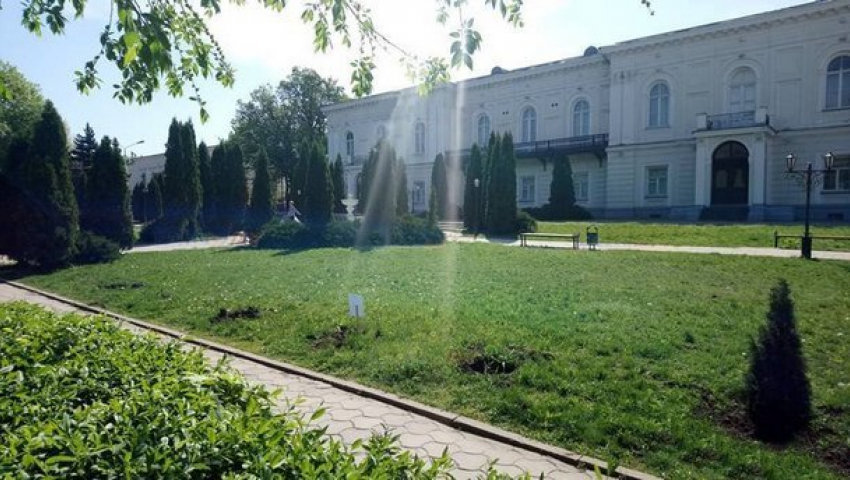 Напротив Атаманского дворца в Новочеркасске неизвестные выкопали туи