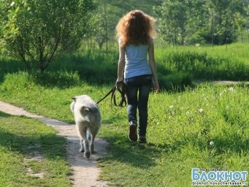 В Новочеркасске запретили выгуливать собак в парках, сушить белье на балконах и сжигать мусор в частном дворе