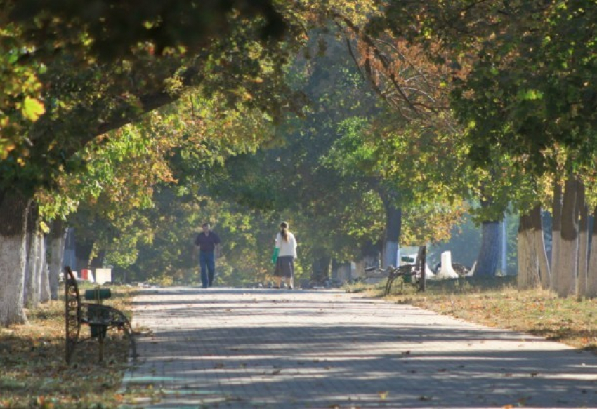 В Новочеркасске потеплеет на выходных 